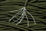 8 Strand 550 Paracord - Olive Drab - 500' Spool