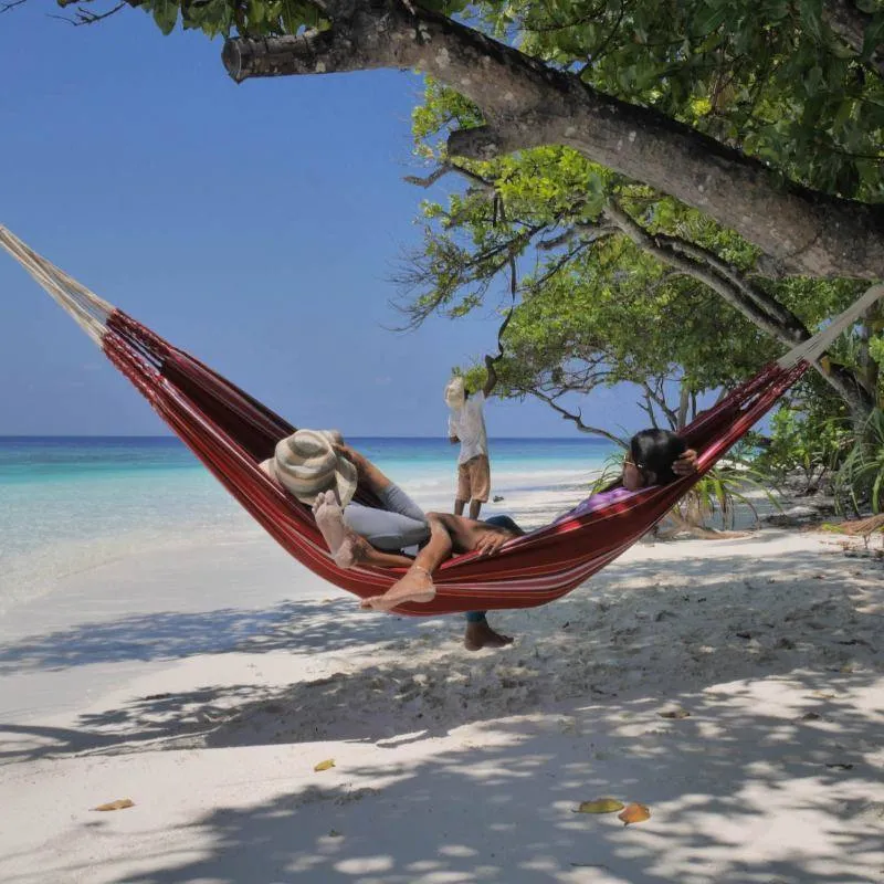 Cayo Hammock - Bordeaux