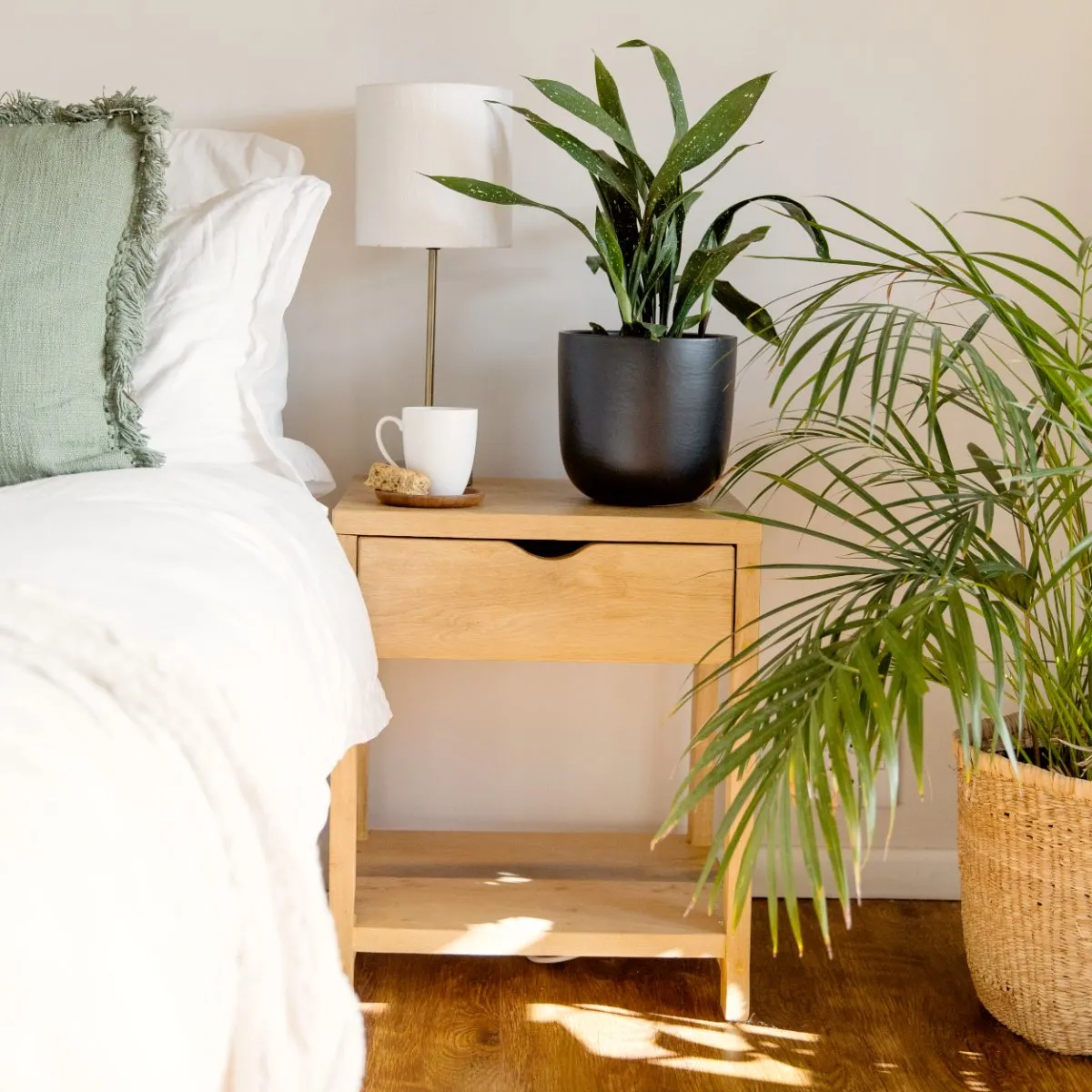 Speckled Cast Iron Plant